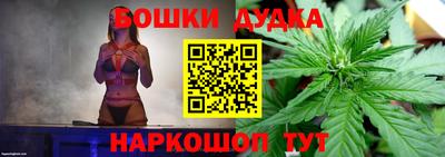 сатива Краснодар