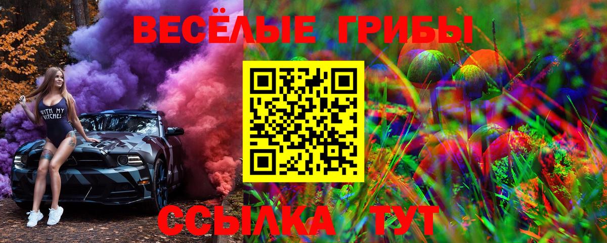Галлюциногенные грибы MAGIC MUSHROOMS  Псилоцибиновые грибы Cubensis  Вход с VPN  Знаменск 