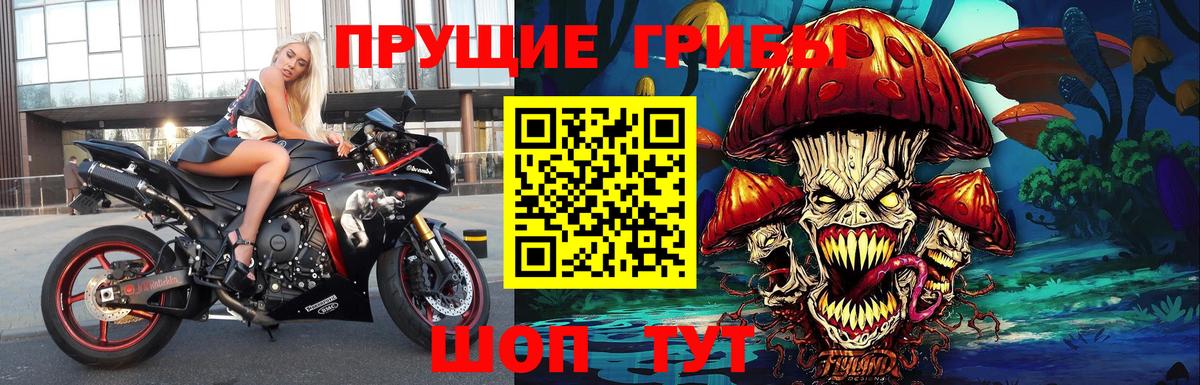Галлюциногенные грибы GOLDEN TEACHER Знаменск