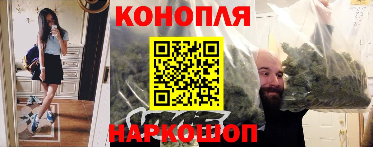 Каннабис OG Kush Знаменск